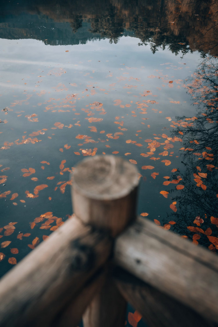 實(shí)驗(yàn)室氨氮快速比色測定儀